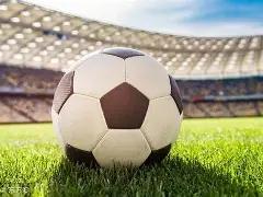 约基奇文班,独树一帜,其他千万级,江南体育平台,江南体育官方网站,江南体育登录入口,江南体育app下载