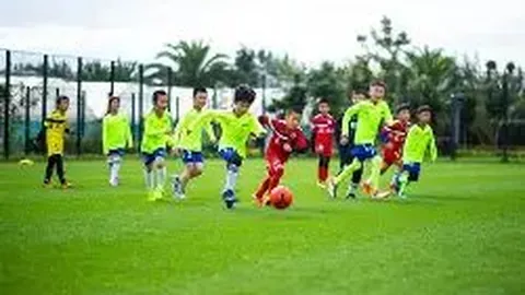 江南体育 资讯 114847 j8d