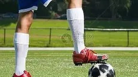 湾区十五运，精彩不容错过！